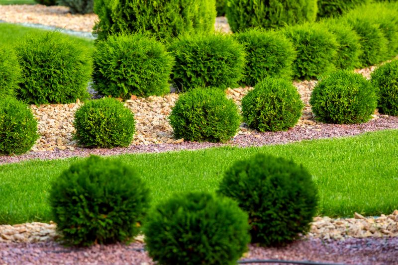 Bush Planting Service in Honolulu, HI