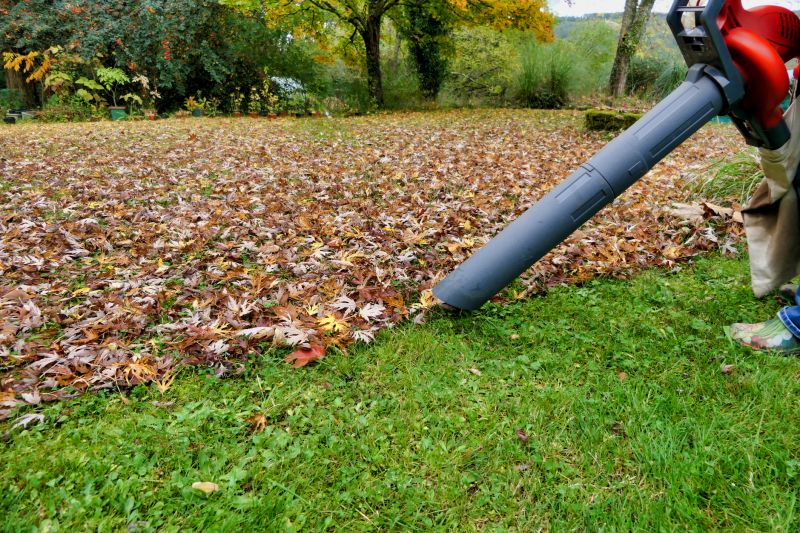 Fall Lawn Care Equipment