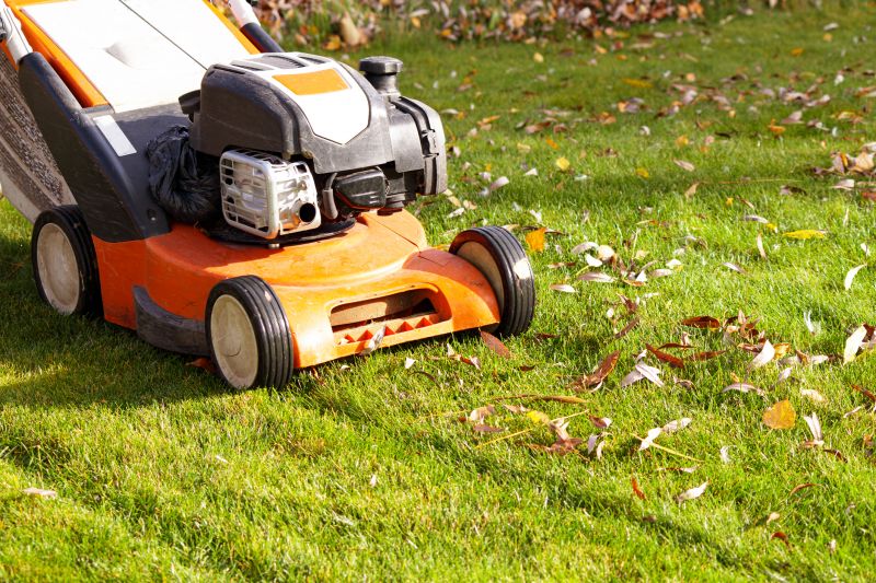 Lawn Care Tools and Equipment