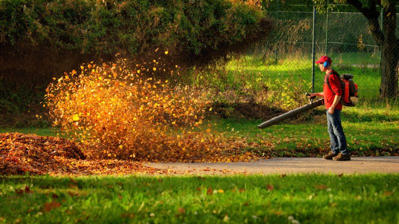Leaf Blower and Raking Tools