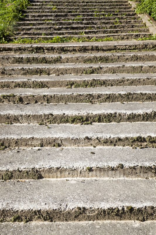 Spanish Moss Removal